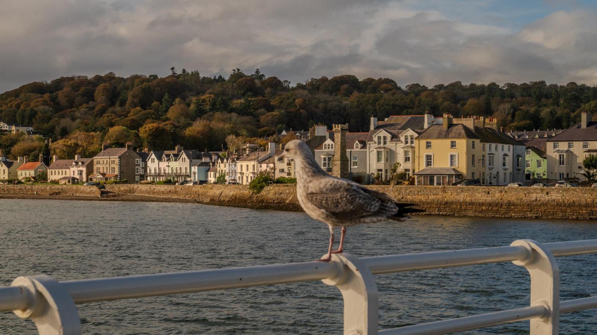 Castle Court Hotel Beaumaris Kültér fotó